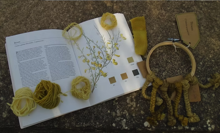 GUEST TICKET: Natural dyeing with Fay Jones, 26th October, 7pm